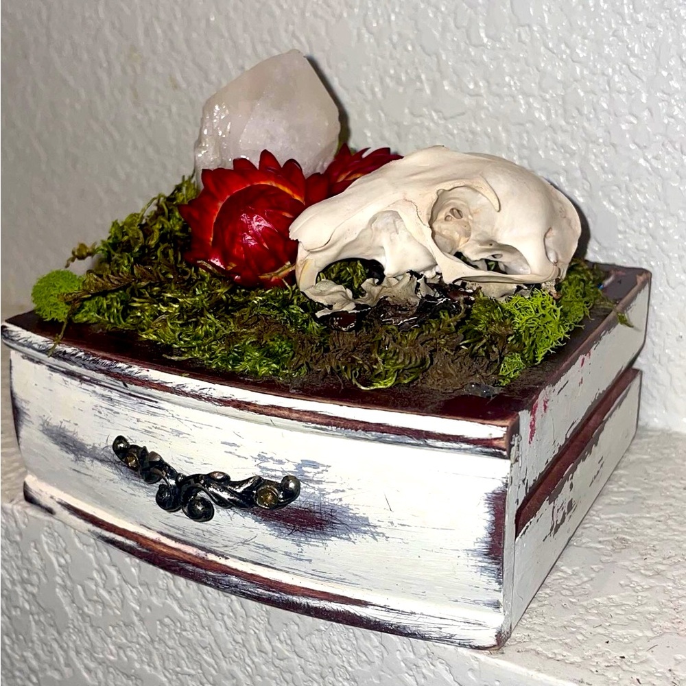 Oddities Bones Art